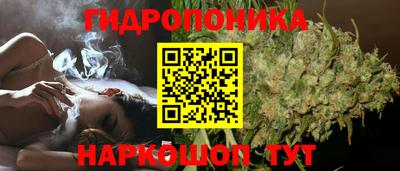 Альфа ПВП Кингисепп