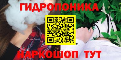 Альфа ПВП Кингисепп