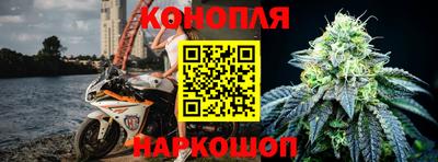 сатива Кинель