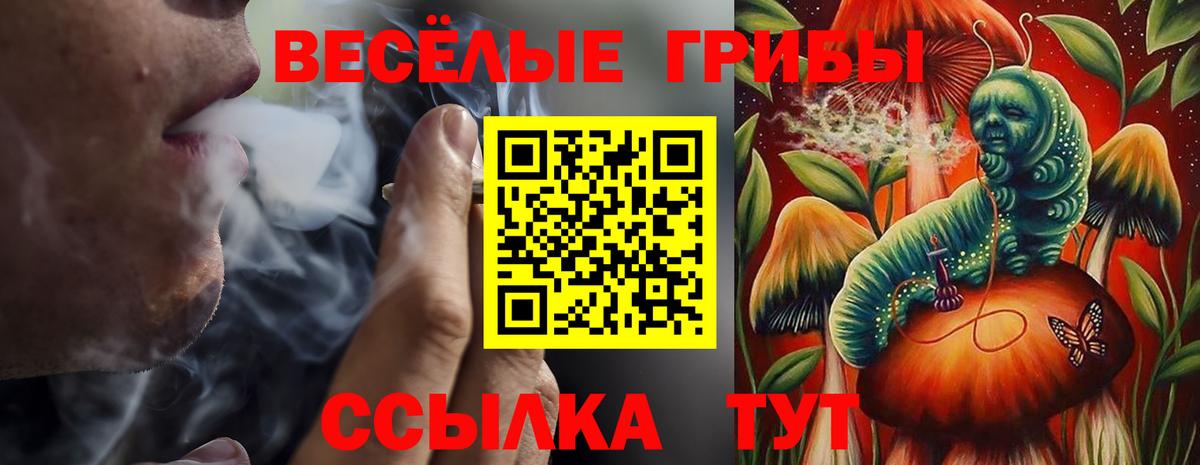 Галлюциногенные грибы Cubensis  Вход с VPN  Кулебаки 