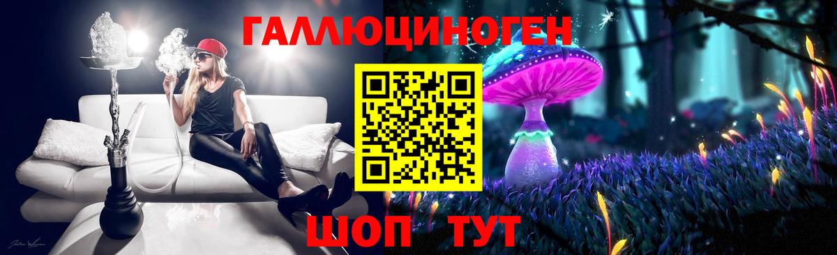 Галлюциногенные грибы Psilocybine cubensis Кулебаки